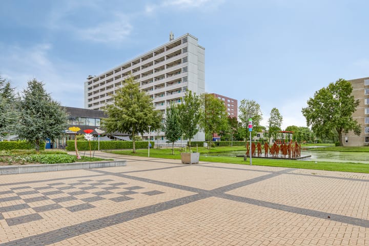 Plein 1953 161 dans Rotterdam photo