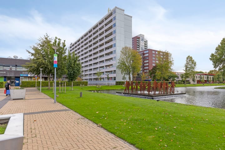 Plein 1953 164 in Rotterdam