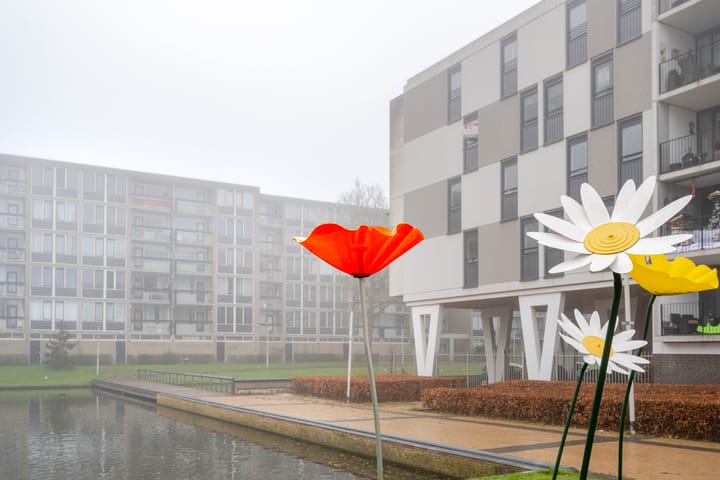 Plein 1953 214 in Rotterdam