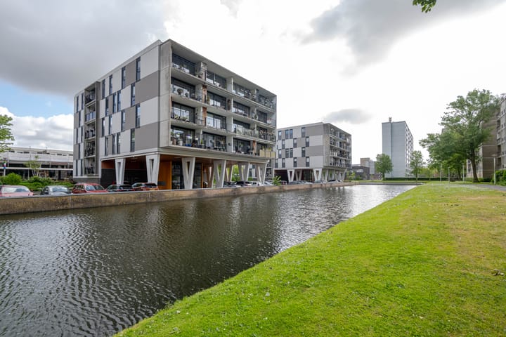 Plein 1953 244 in Rotterdam