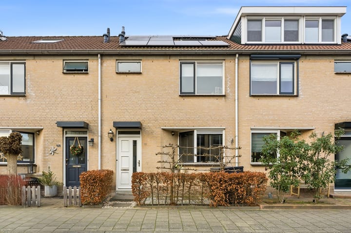 Pluimzegge 12 in Nieuw-Lekkerland foto