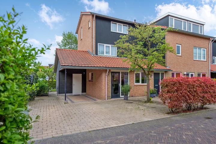 Pluimzegge 52 in 's-Gravenhage