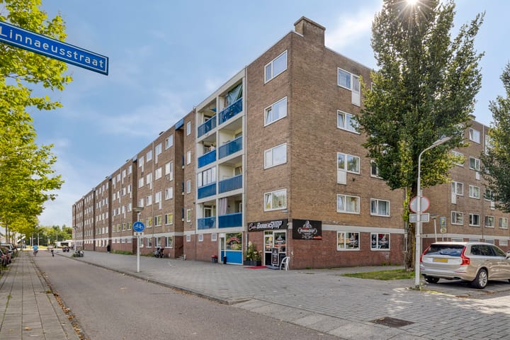 Poelenburg 409 in Zaandam