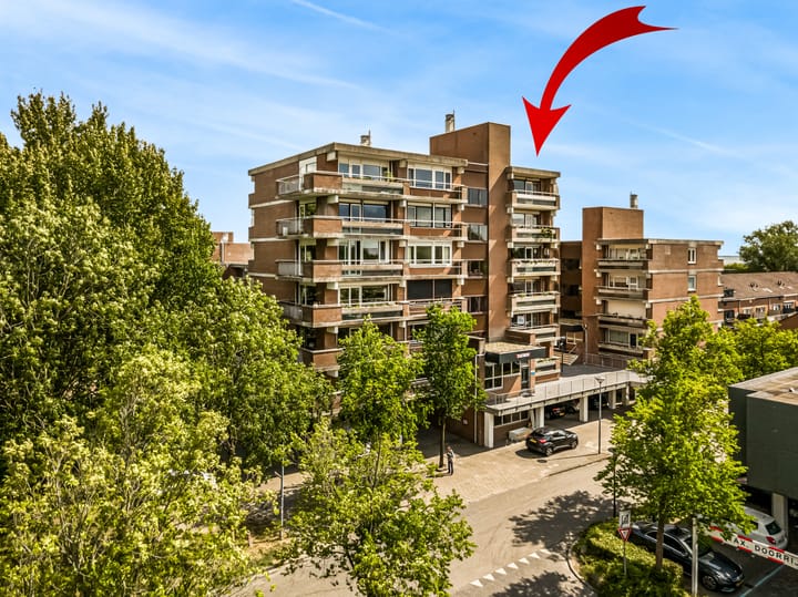 Poolster 254 in Hoorn