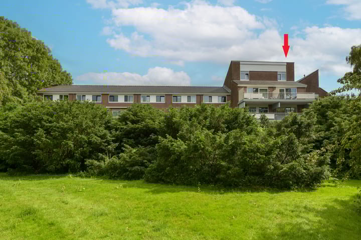 Poolster 74 in Hoorn