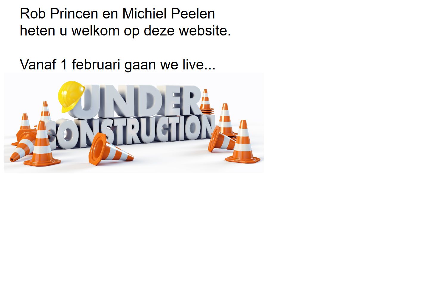 Screenshot van de website van www.princenpeelen.nl