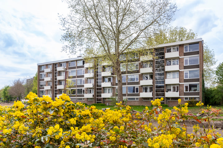 Prof. Dr. Bakkerlaan 79 in Nieuwegein