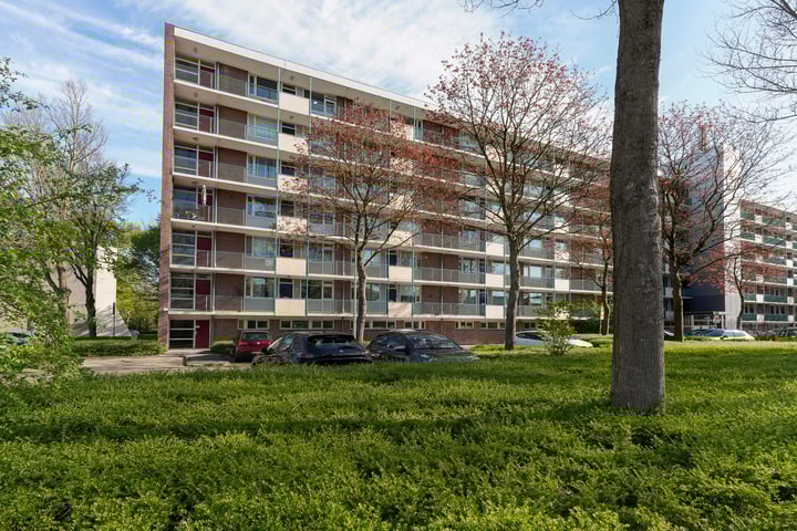 Professor Cobbenhagenlaan 250 in Tilburg