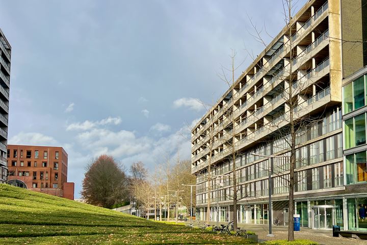 Professor de Moorplein 448 in Tilburg