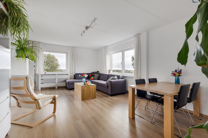 Photo of property Professor Van der Scheerstraat 221, Haarlem