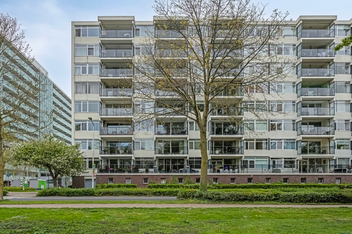 Pruylenborg 195 in Zwijndrecht