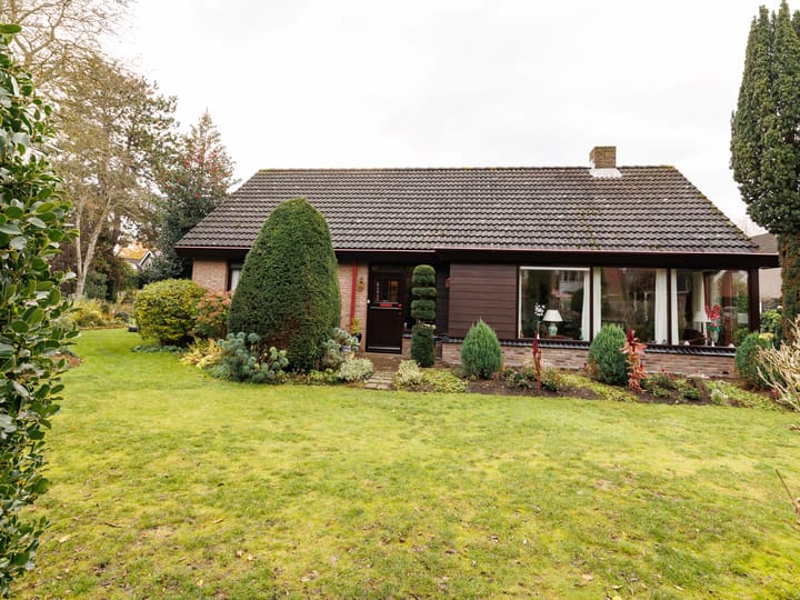 Punter 25 23 in Lelystad