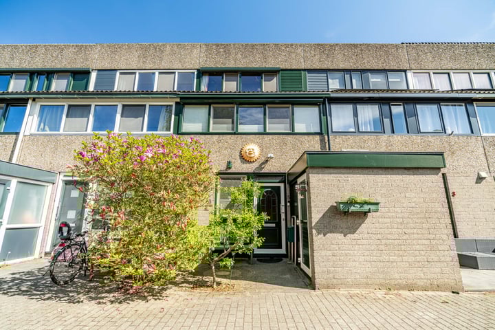Punterwerf 5 in Leiden