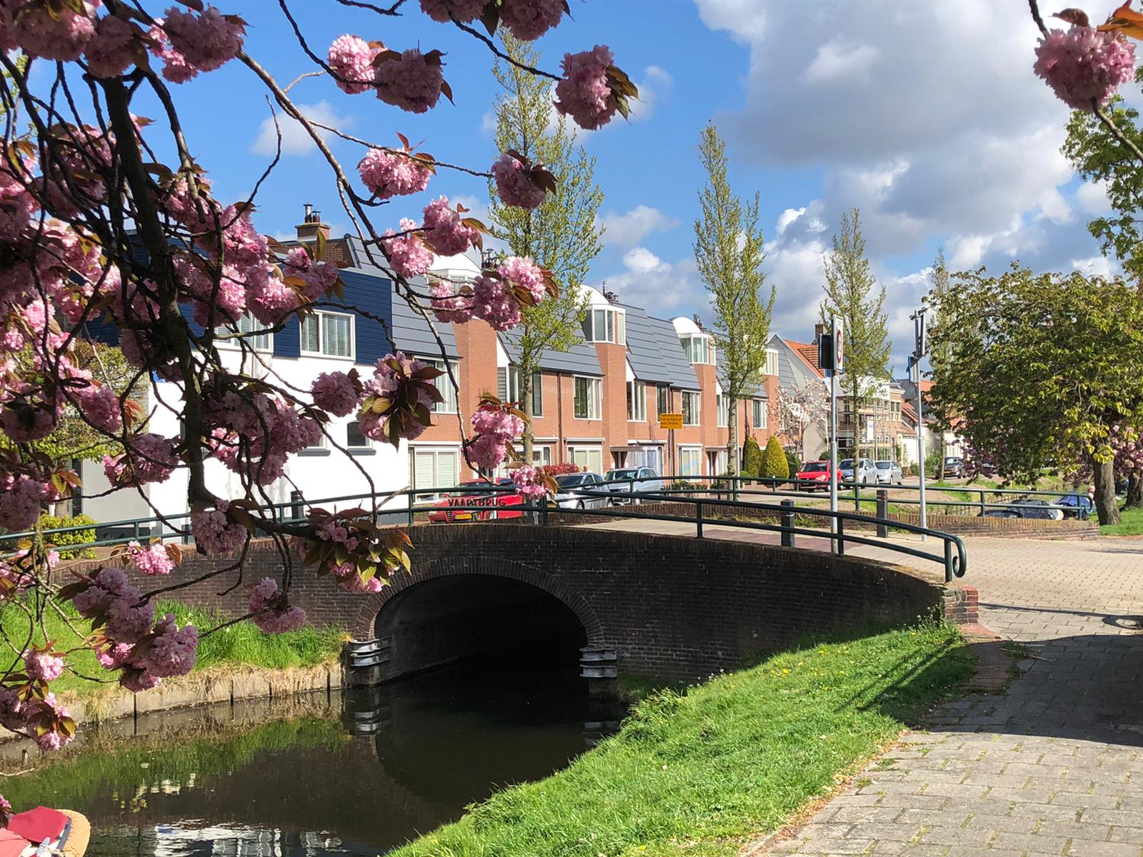 Kantoor foto van PUUR* Makelaars Heemstede