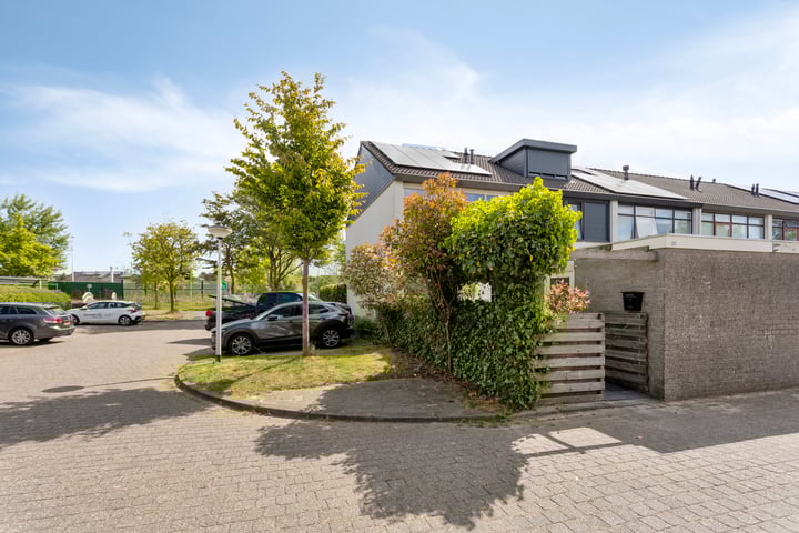 Raaigras 251 in Leeuwarden foto