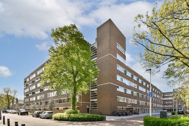 Raaphorst 101 in Leiderdorp