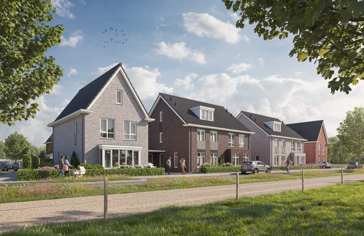 Rabarber 12 in Molenhoek