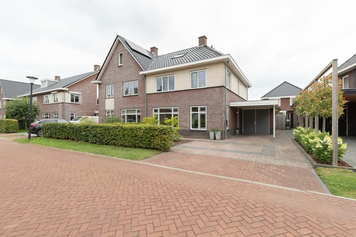 Ranonkel 9 in Beilen