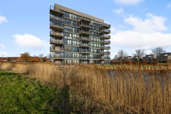 Razende Bol 25 in Heemskerk