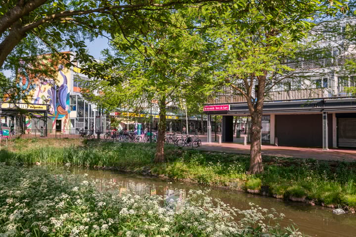 Reigersbos 177 in Amsterdam foto
