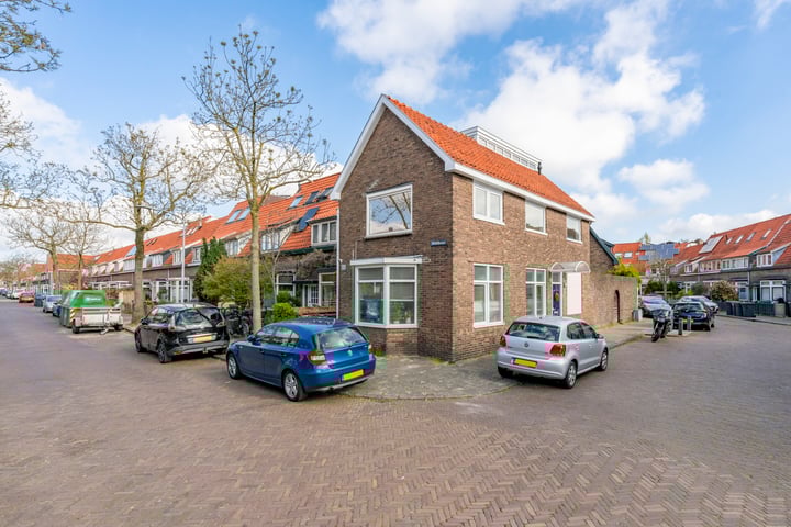 Reigerstraat 113 in Haarlem