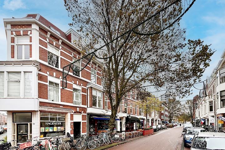 Reinkenstraat 69C in 's-Gravenhage