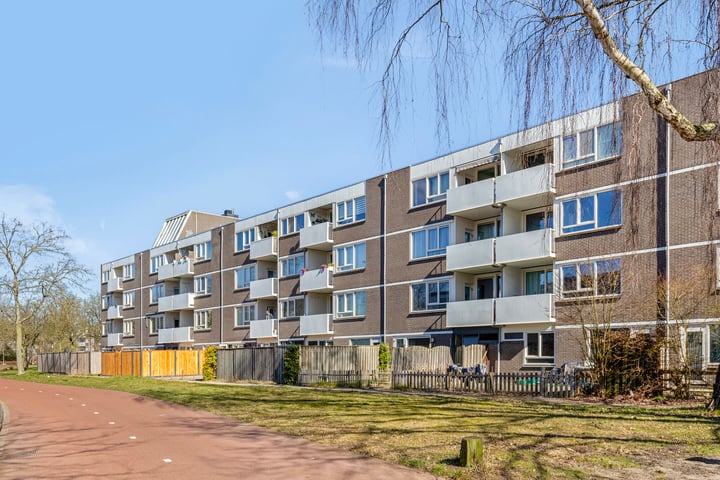 Renkumhof 36 in Amsterdam Foto
