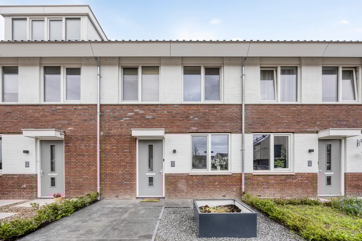 Reuzenotter 12 in Boxtel