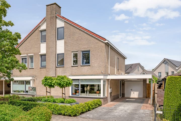 Rhododendron 7 in Coevorden