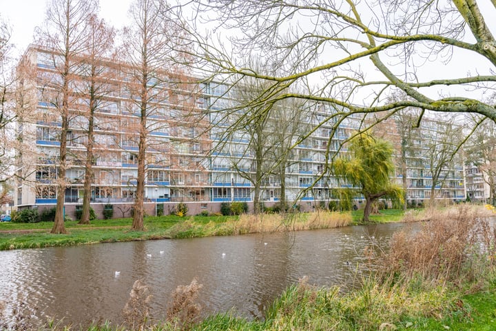 Rhodosdreef 120 in Utrecht