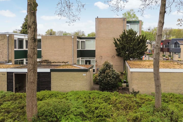 Rietdekkersdreef 530 in Apeldoorn Foto