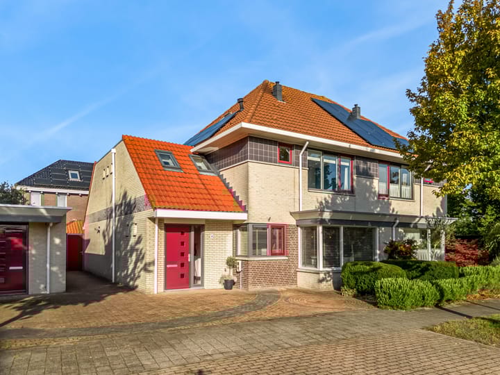 Rietorchis 4 in Limmen