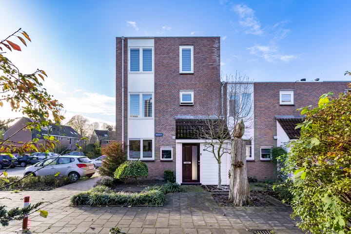 Ringmus 1 in Nieuwegein