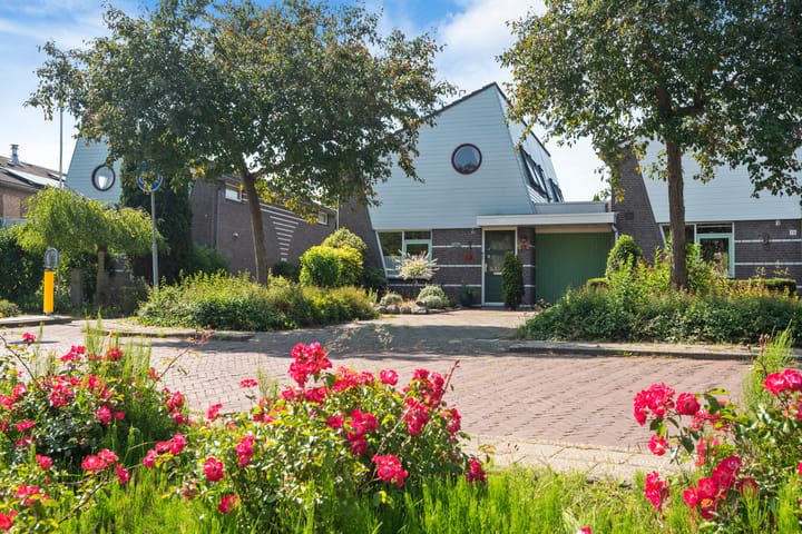 Ringmus 20 in Heemskerk