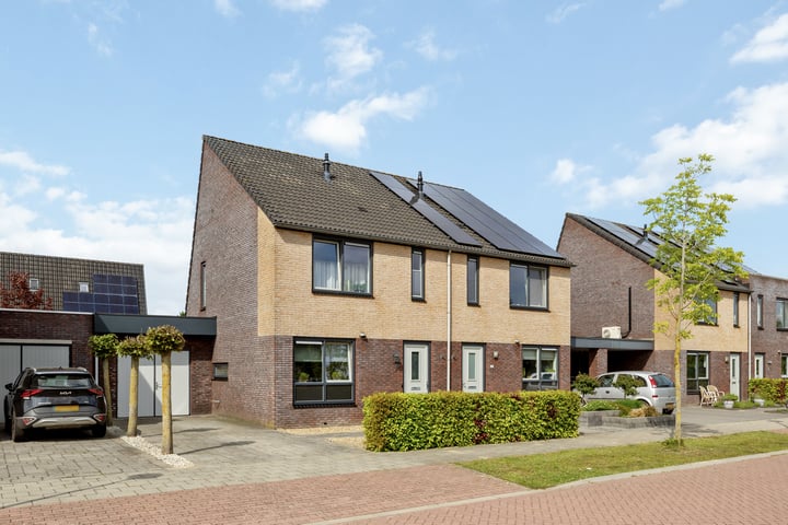 Ringmus 47 in Olst