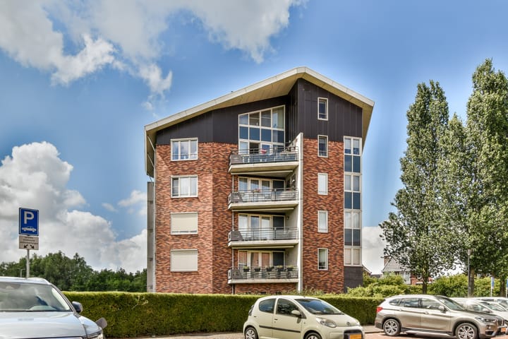 Ringslang 179 in Amstelveen