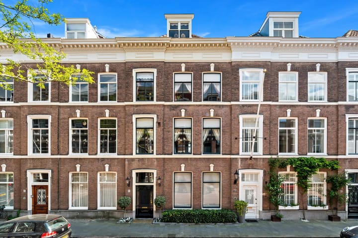 Riouwstraat 161 in 's-Gravenhage