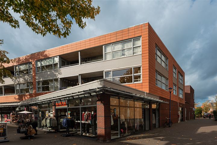 Ripolinpad 1 in Hilversum