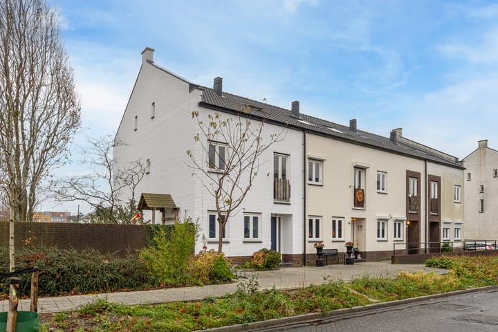 Rode Ring 133 in Assendelft