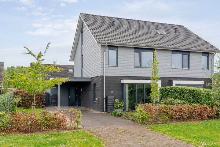 Roedenbergen 3 in Diever