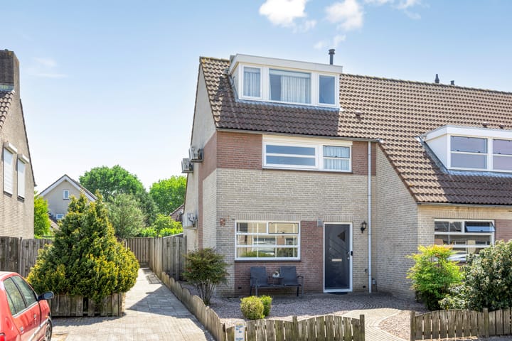 Roerdomp 37 in 's-Hertogenbosch