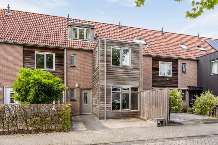 Roerdomp 49 in Meppel foto