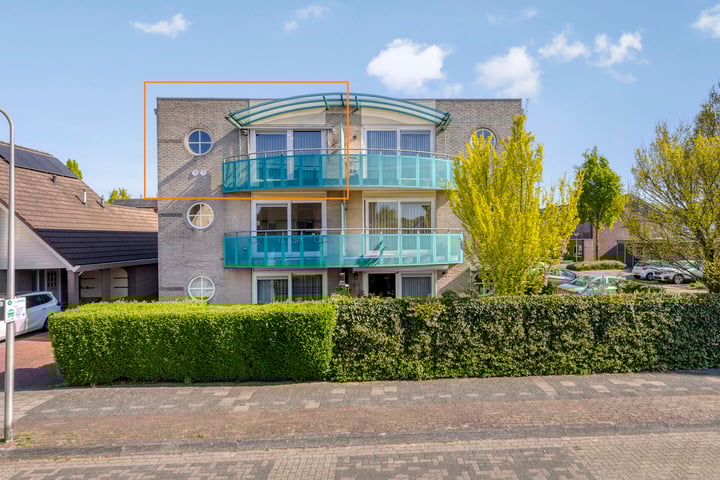 Roerdomp 5 in Rijssen