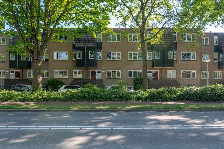 Rosmolen 43 in Ridderkerk