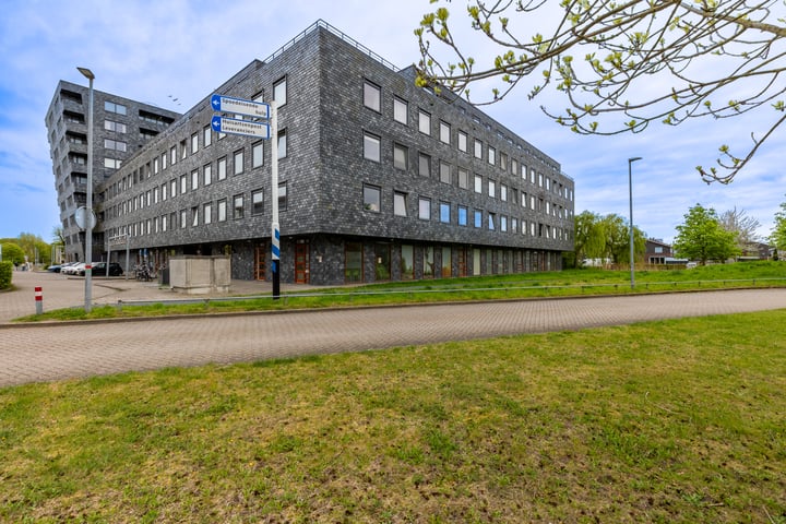 Rottumeroog 224 in Hoofddorp