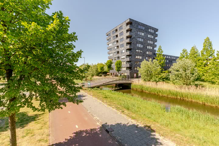 Rottumeroog 60 in Hoofddorp