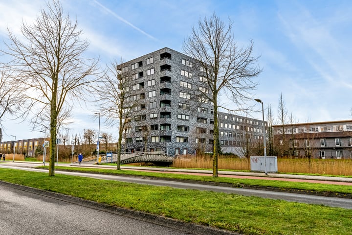 Rottumeroog 70 in Hoofddorp