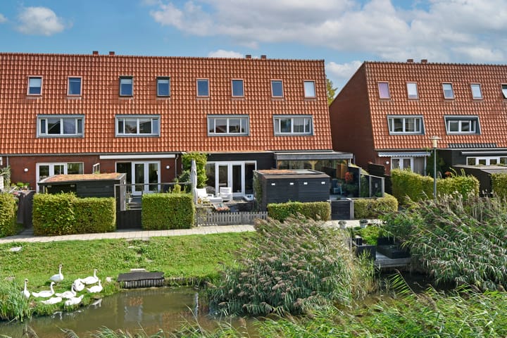 Rugstreeppad 73 in Nieuwveen