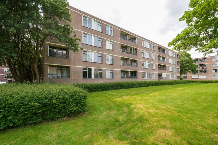 Ruigoord 101 in Rotterdam