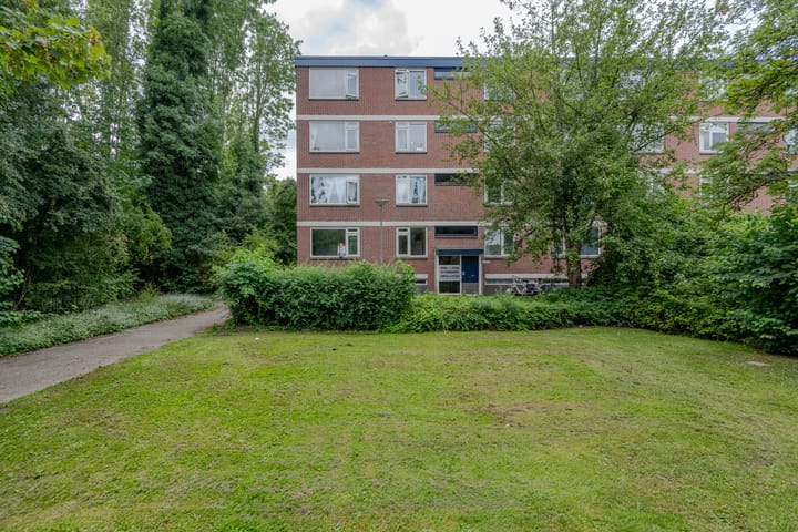 Ruigoord 214 in Rotterdam